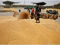 50 लाख मीट्रिक टन खरीद का लक्ष्य, 2585 रुपये प्रति कुंतल एमएसपी पर होगी गेहूं खरीद