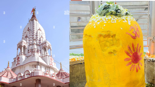 Untitled design_20260327_160553_0000