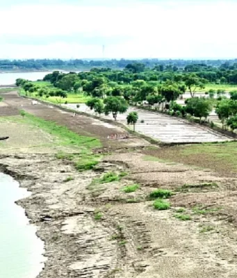 गंगा के किनारे 26 जिलों में ऑर्गेनिक क्लस्टर से बदल रही यूपी की तस्वीर