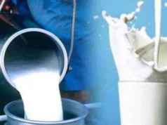 9 वर्षों में विकास के पहिए ने पकड़ी रफ्तार, तराई के 1500 गांवों में फैला दूध का कारोबार