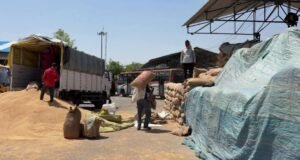 फार्मर रजिस्ट्री के बिना भी सरकारी क्रय केंद्र पर गेहूं बेच सकेंगे किसान