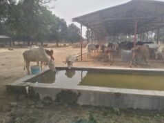 गो आश्रय स्थलों में गर्मी से बचाव के पुख्ता इंतजाम के निर्देश