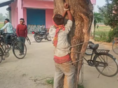 गेहूं चोरी के शक में युवक को ग्रामीणों ने पकड़ा, पेड़ से बांधकर की जमकर पिटाई