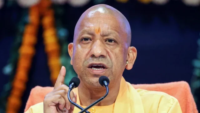 yogi-(11)-1772378400950