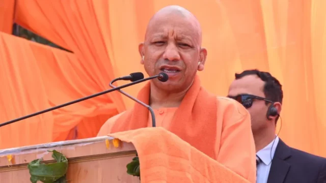 yogi-(4)-1775834761277