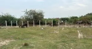 जमीन विवाद में आमने-सामने आए दो विधायक परिवार, शिकायत के बाद मौके पर पुलिस तैनात