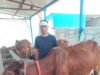 मिनी नंदिनी योजना से गांव-गांव में रोजगार, सालाना10–12लाख की आय तक पहुंच रहे युवा