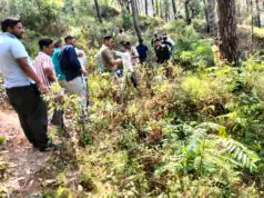 भवाली के पास दर्दनाक सड़क हादसा, खाई में गिरी कार; पांच लोगो की मौत