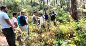 भवाली के पास दर्दनाक सड़क हादसा, खाई में गिरी कार; पांच लोगो की मौत
