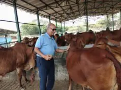 राष्ट्रशक्ति और आर्थिक समृद्धि का नया मॉडल बन रहा गो संरक्षण