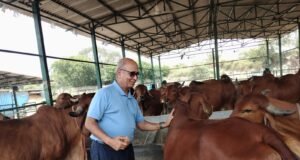 राष्ट्रशक्ति और आर्थिक समृद्धि का नया मॉडल बन रहा गो संरक्षण