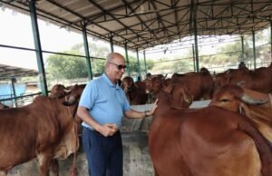 राष्ट्रशक्ति और आर्थिक समृद्धि का नया मॉडल बन रहा गो संरक्षण