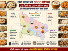 योगी सरकार की ODOC योजना में यूपी के 75 जिलों का स्वाद: हर जनपद का पारंपरिक व्यंजन बनेगा पहचान