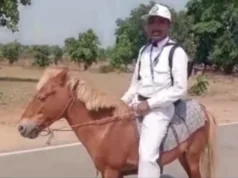 जनगणना के लिए घोड़े पर निकले शिक्षक, झारखंड में दिखी अनोखी तस्वीर
