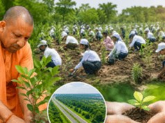 भारत मंडपम में धूमधाम से मना पूज्य धीरेंद्र कृष्ण शास्त्री का जन्मोत्सव