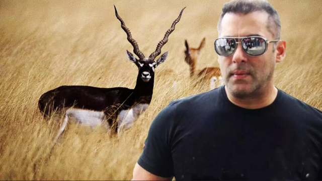 salman-khan-blackbuck-poaching-case