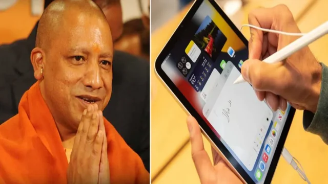 yogi-1639981195
