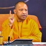 yogi-1770007313