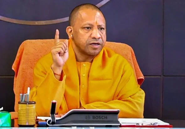 yogi-1770007313