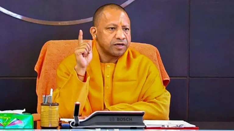 yogi-1770007313