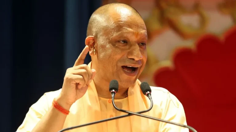 yogi-(18)-1783524440595