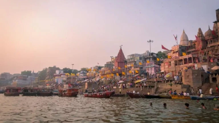 kashi-1767882191