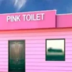 Pink-toilets-to-be-built-in-Prayagraj-markets-for-women-convenience-1787827372001