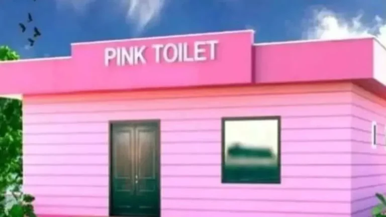 Pink-toilets-to-be-built-in-Prayagraj-markets-for-women-convenience-1787827372001